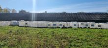 Ibc container cub rezervor bazin de apa 1000 litri la Oradea, 400 Lei, Ibc container cub rezervor bazin de apa 1000 litri la Oradea, 400 Lei,